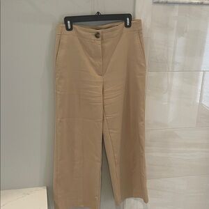 Ann Taylor Tan Wide-Leg Trousers
